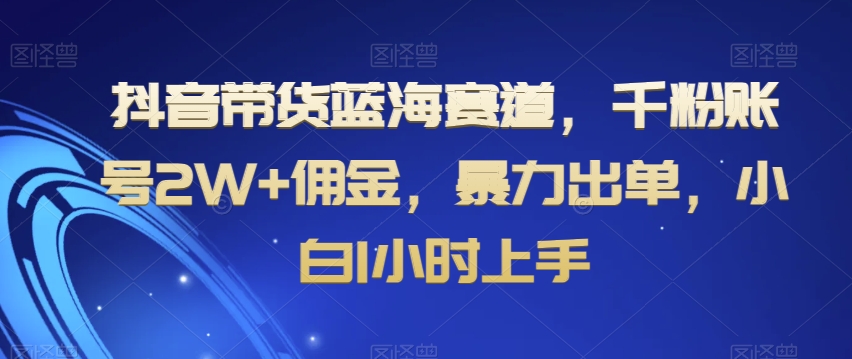抖音带货蓝海赛道，千粉账号2W+佣金，暴力出单，小白1小时上手【揭秘】-知一资源网