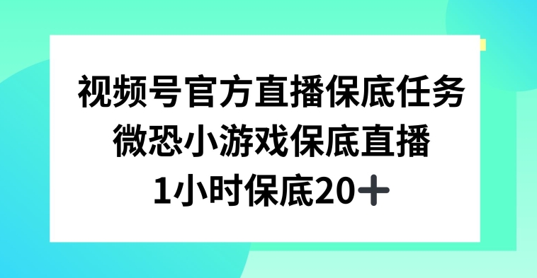 视频号直播任务,微恐小游戏,1小时20+【揭秘】-知一资源网