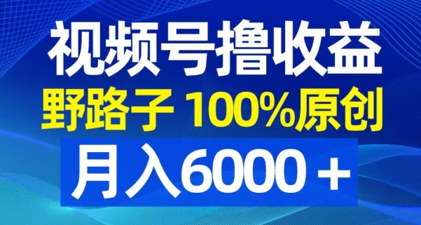 视频号野路子撸收益，100%原创，条条爆款，月入6000＋【揭秘】-知一资源网
