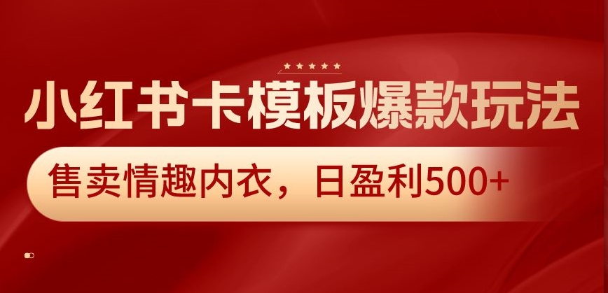 小红书卡模板爆款玩法，售卖情趣内衣，日盈利500+【揭秘】-知一资源网
