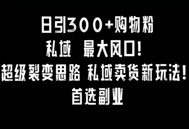 日引300+购物粉,超级裂变思路,私域卖货新玩法,小红书首选副业【揭秘】-知一资源网