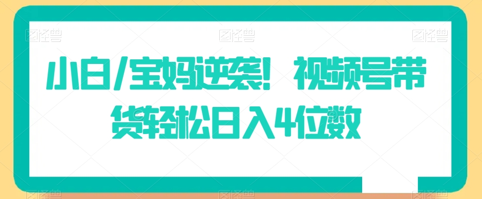 小白/宝妈逆袭!视频号带货轻松日入4位数【揭秘】-知一资源网
