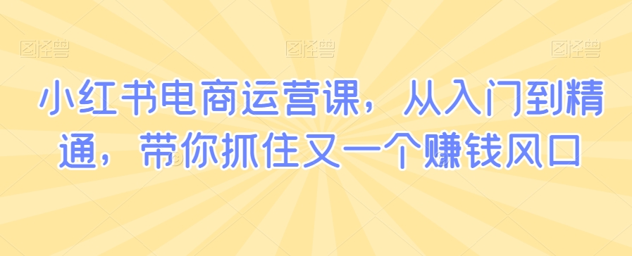 小红书电商运营课,从入门到精通,带你抓住又一个赚钱风口-知一资源网