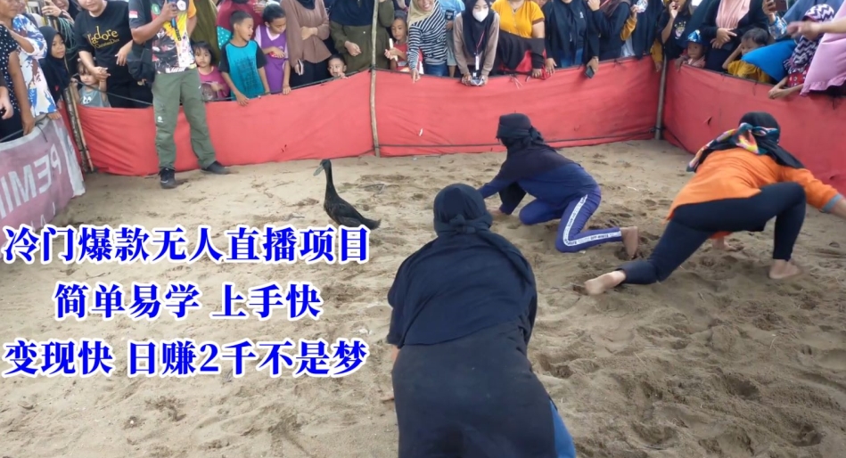 冷门爆款无人直播项目，简单易学上手快，变现快日赚2千不是梦【揭秘】-知一资源网