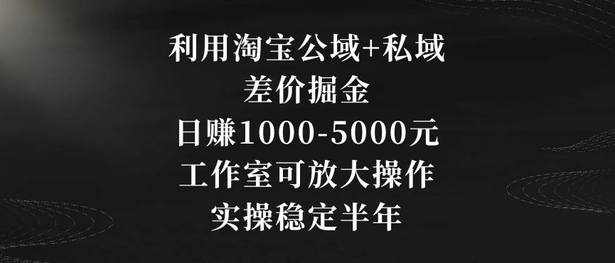利用淘宝公域+私域差价掘金，日赚1000-5000元，工作室可放大操作，实操稳定半年【揭秘】-知一资源网