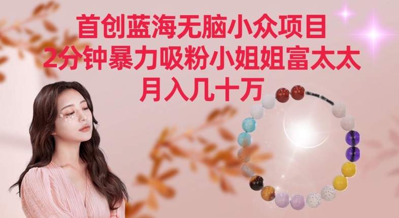 首创蓝海无脑小众项目,2分钟暴力吸粉小姐姐富太太,月入几十万【揭秘】-知一资源网