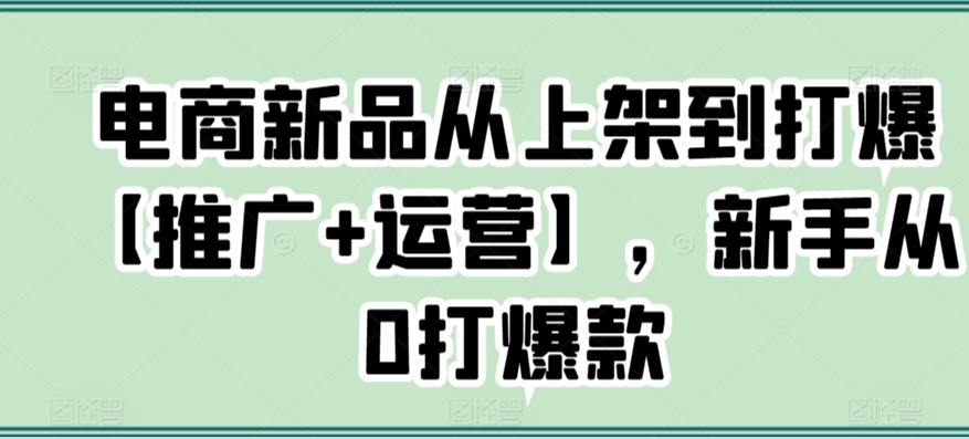 电商新品从上架到打爆【推广+运营】,新手从0打爆款-知一资源网