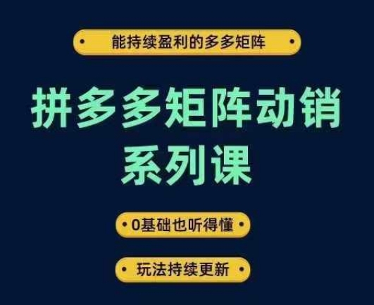 拼多多矩阵动销系列课，能持续盈利的多多矩阵，0基础也听得懂，玩法持续更新-知一资源网