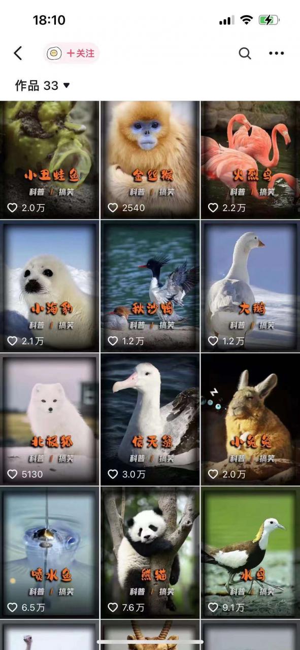 动物科普解说项目，撸创作者伙伴计划收益，保姆级实战教程-知一资源网