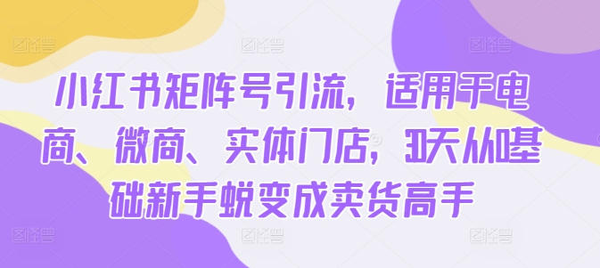 小红书矩阵号引流，适用于电商、微商、实体门店，30天从0基础新手蜕变成卖货高手-知一资源网