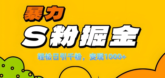 单人单机日引千粉，变现1k+，S粉流量掘金计划攻略【揭秘】-知一资源网