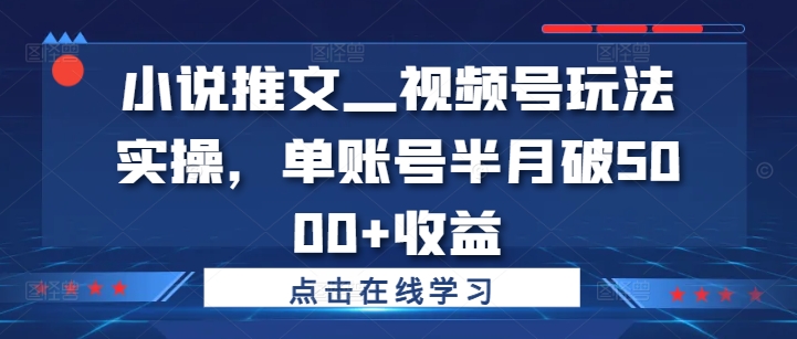 小说推文—视频号玩法实操，单账号半月破5000+收益-知一资源网