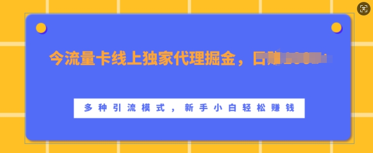 流量卡线上独家代理掘金,日入1k+ ,多种引流模式,新手小白轻松上手【揭秘】