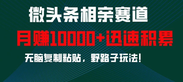 微头条相亲赛道,迅速积累,无脑复制粘贴,野路子玩法,月入1w