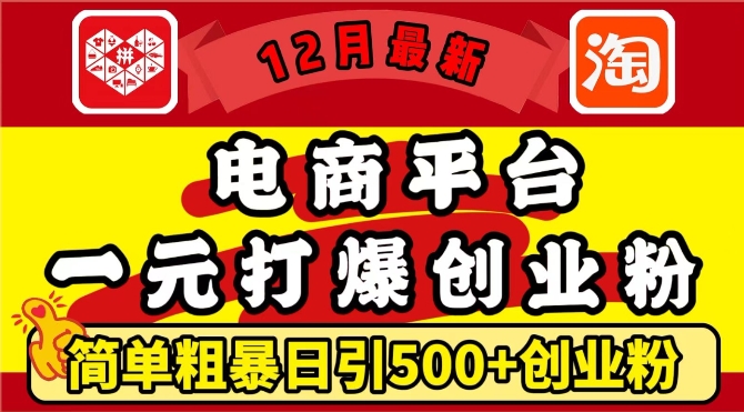 12月最新：电商平台1元打爆创业粉，简单粗暴日引500+精准创业粉，轻松月入过W【揭秘】-知一资源网