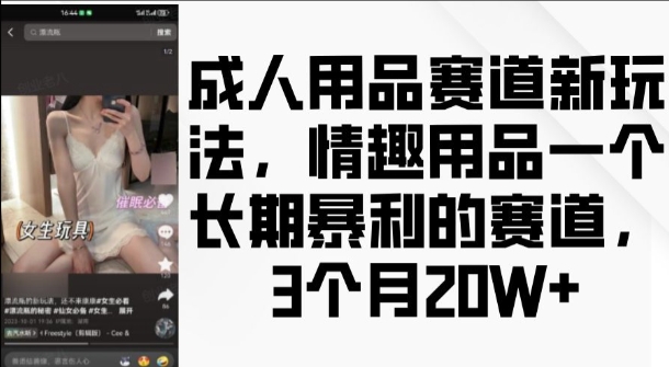 成人用品赛道新玩法,情趣用品一个长期暴利的赛道,3个月收益20个【揭秘】