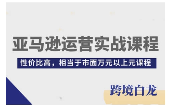 亚马逊运营实战课程,亚马逊从入门到精通,性价比高,相当于市面万元以上元课程