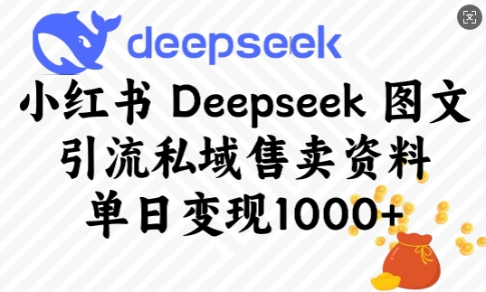 小红书Deepseek图文引流私域售卖资料，单日变现多张-知一资源网