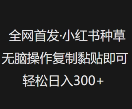 全网首发，小红书种草无脑操作，复制黏贴即可，轻松日入3张-知一资源网