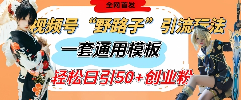 视频号“野路子”玩法，评论区疯狂截流，一套模板单日单号引流50+创业粉-知一资源网
