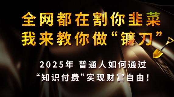 全网都在割你韭菜，我来教你做镰刀，2025普通人如何通过知识付费，实现财F自由【揭秘】-知一资源网