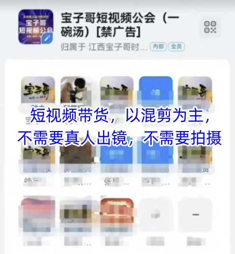 宝子哥头部团队短视频带货，以混剪为主，不需要真人出镜，不需要拍摄【更新】-知一资源网