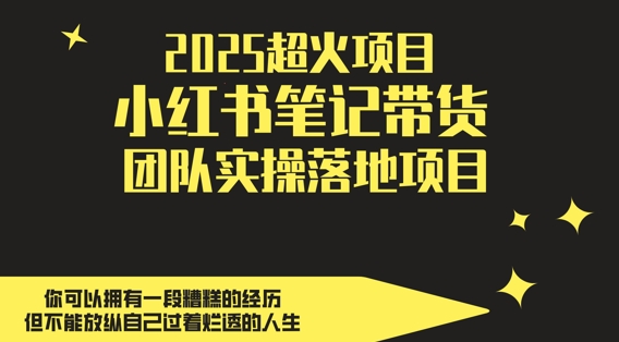 2025超火项目，副业最佳选择，小红书笔记带货团队实操落地项目，，轻松日入5张-知一资源网