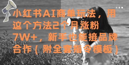 小红书AI商单玩法，用这个方法2个月涨粉7W+，新手也能接品牌合作(附全套指令模板)-知一资源网