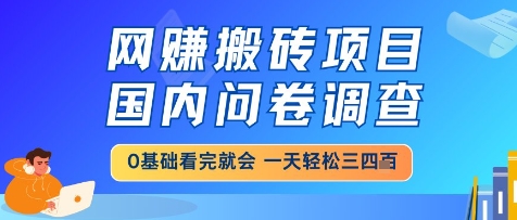 网创搬砖项目，国内问卷调查，小白轻松上手，一天三四张的也不难，干就完了【揭秘】-知一资源网