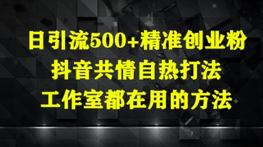 日引流500+精准创业粉,抖音共情自热打法,工作室都在用的方法