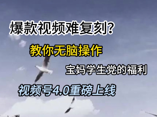 视频号4.0重磅上线，爆款视频难复刻？教你无脑操作宝妈学生党的福利【揭秘】-知一资源网