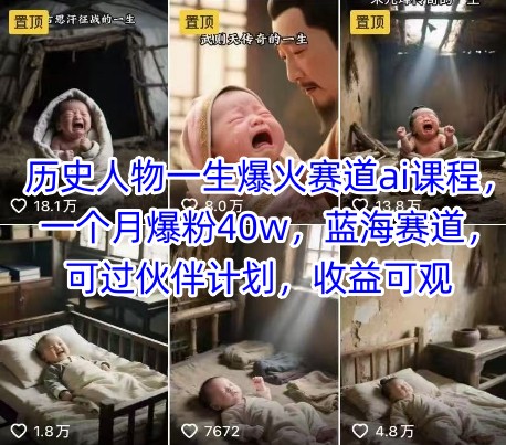 历史人物一生爆火赛道ai课程，一个月爆粉40w，蓝海赛道，可过伙伴计划，收益可观-知一资源网