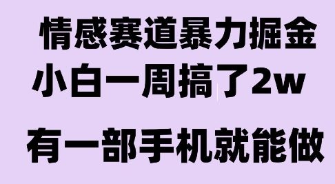 情感暴力掘金项目，新人操作一周挣了2W，长期稳定小白可做【揭秘】-知一资源网