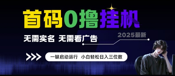 首码0撸挂G项目，无需实名无需看广告 一键启动运行，小白轻松日入三位数【揭秘】-知一资源网