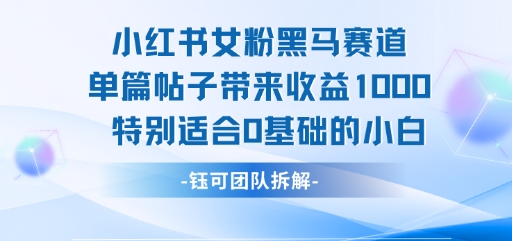 小红书女粉黑马赛道单篇帖子带来收益1k+，特别适合0基础的小白-知一资源网