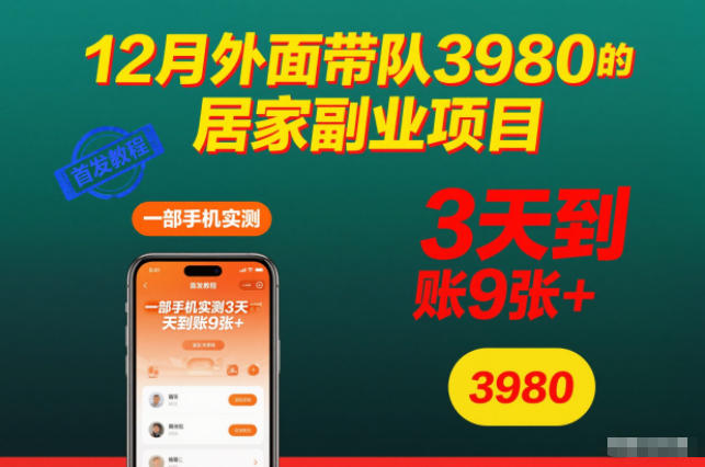 12月外面带队3980的居家副业项目，一部手机实测3天到账9张+，首发教程【揭秘】-知一资源网