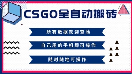 CSGO全自动搬砖，年底钱回家好项目，当天可拿到结果，新手小白轻松月入1W+【揭秘】-知一资源网