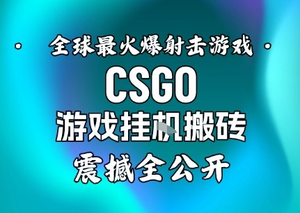 【年底大揭秘】基于全球最火爆的射击CSGO游戏挂G搬砖，日入5张+，震撼公开-知一资源网