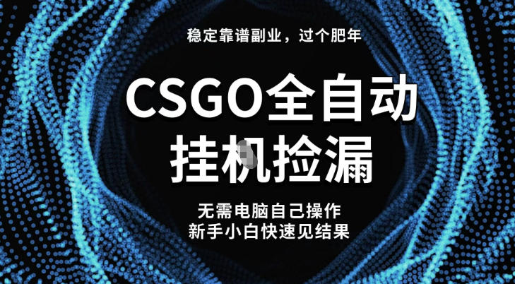 【稳定副业】全球最热门游戏CSGO全自动捡漏，最新玩法，新手小白日入5张+【揭秘】-知一资源网