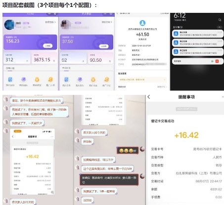 当天能收益的3个小项目拆解_包括平台+操作流程-知一资源网