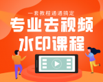 专业去视频水印教程 静态水印、动态水印、文字水印、图片水印一套教程通通搞定-知一资源网