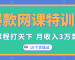 爆款网课特训营，一套课程打天下，网课变现的10个实操法，月收入3万到10万-知一资源网