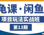 龟课·闲鱼项目玩法实战班第13期,轻松玩转闲鱼,多渠道多方法引流到私域流量池-知一资源网