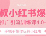 狼叔小红书爆款推广引流训练课4.0,手把手带你玩转小红书-知一资源网
