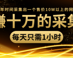 年赚十万的采集站,每天却只需要1小时,一年时间采集出一个售价10W以上的网站-知一资源网