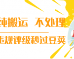 抖音纯搬运 不处理 小技巧,30秒发一个作品,避免违规评级秒过豆荚-知一资源网