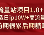 《大流量站项目1.0+2.0》打造日IP10W+高流量站,前期很累后期躺赚-知一资源网