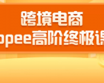 2020跨境电商蓝海新机会-SHOPEE大卖特训营:高阶终极课程(16节课)-知一资源网