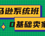 亚马逊系统班，专为0基础卖家量身打造，亚马逊运营流程与架构-知一资源网