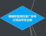 臻曦联盟抖音高权重广场号无人直播正规品带货全解-知一资源网